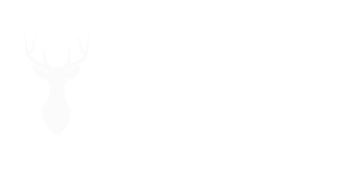 Sital media 